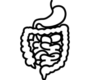 gastrointestinal tract